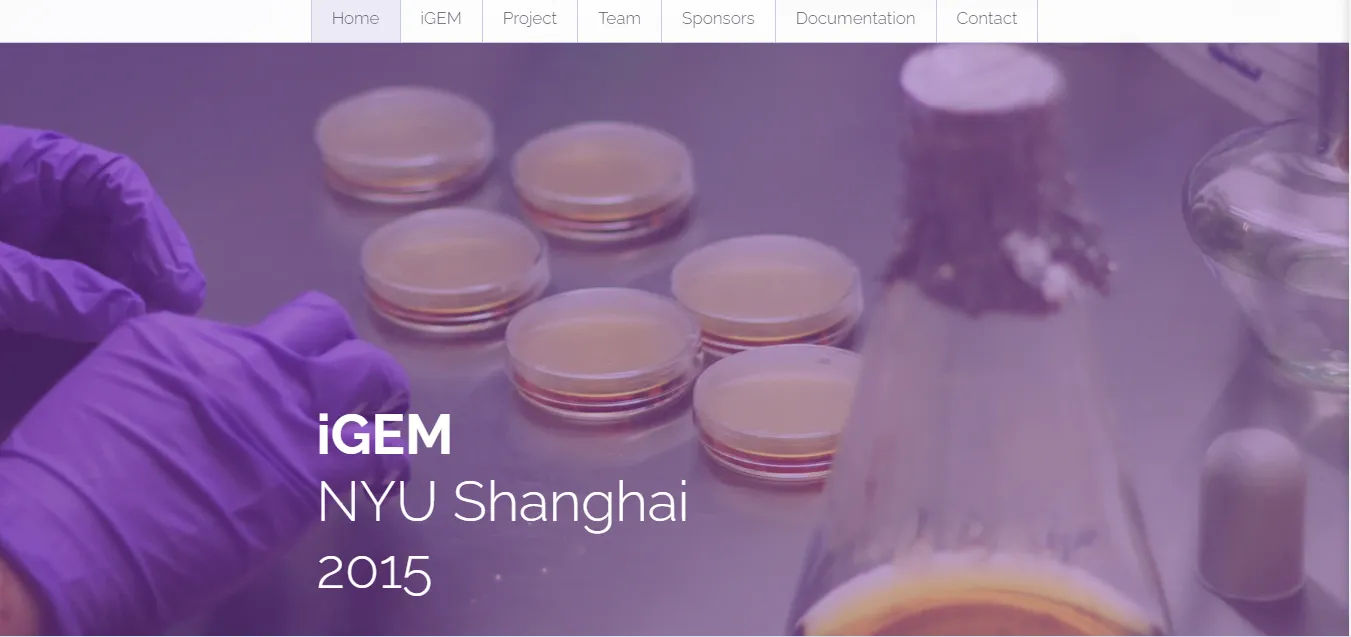 iGEM NYU Shanghai - Strikingly example